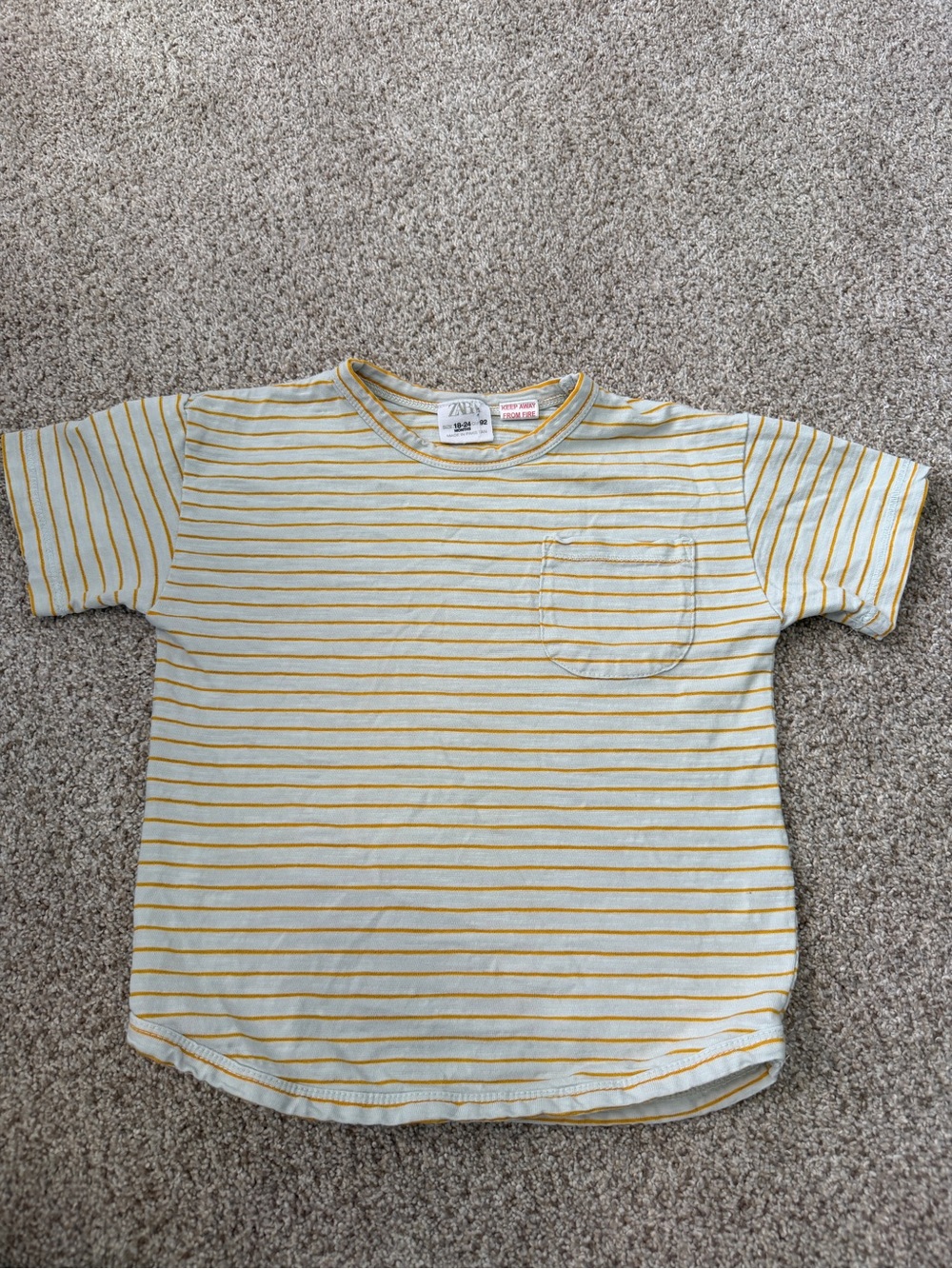 Zara Boxy Striped Tee